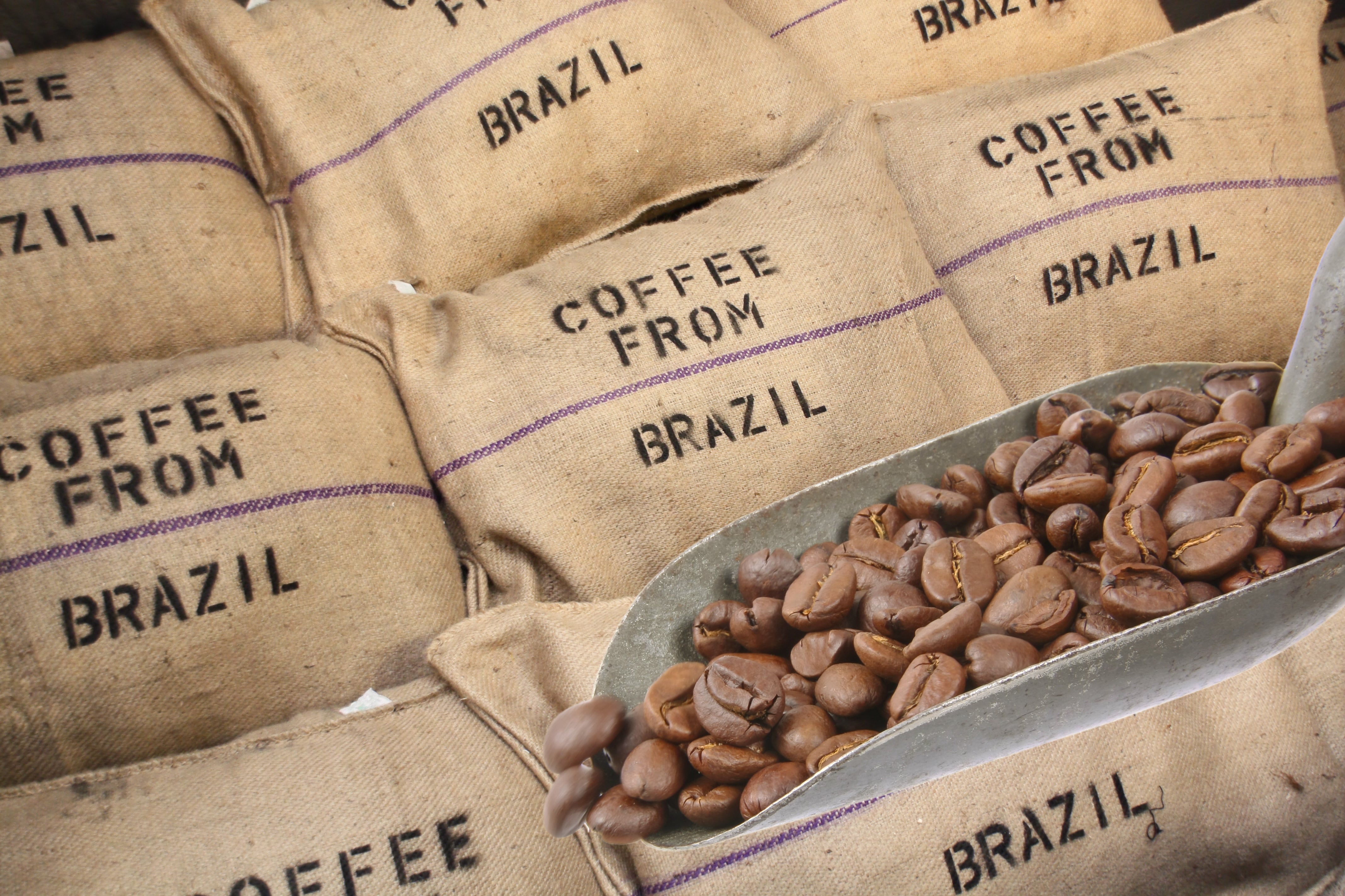 Der boomende Kaffeemarkt: Eine Tasse voller Geschmack und Vielfalt